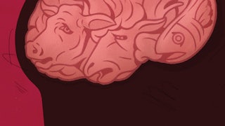 A drawing of a profile of a head with a pink brain made out of sad animals