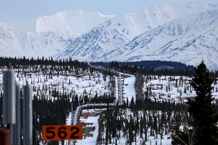 A pipeline is seen running through a snowy forest, with snow-covered mountains in the background. 