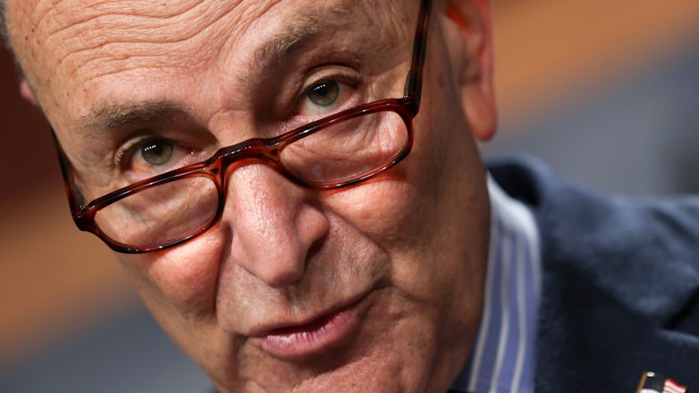 Chuck Schumer peers over his glasses.