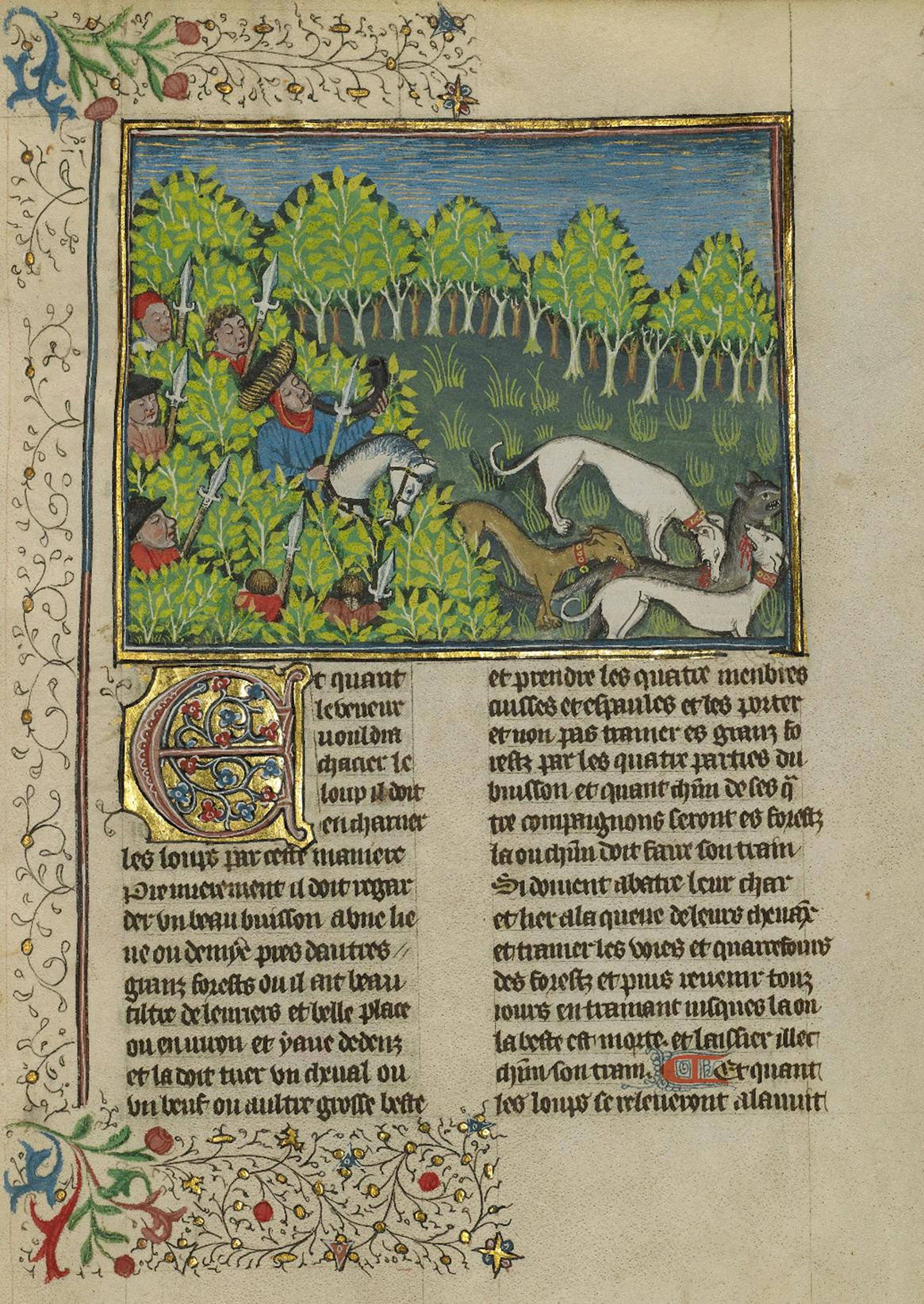 A page fro the “Hunters and Dogs Killing a Wolf” in the Livre de la Chasse, a book about hunting that dates from between 1430 and 1440