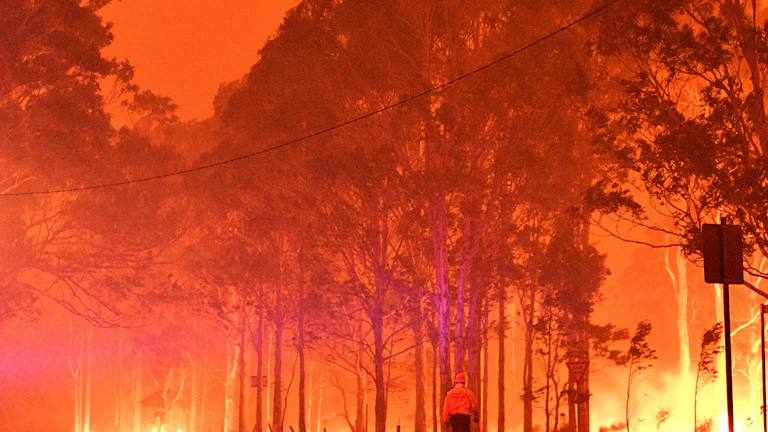 A firefighter walks past burning trees in New South Wales, Australia, in 2019.