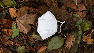 A face mask lies on the ground on leaves.