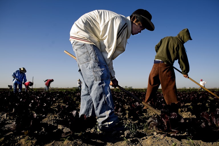 Migrant workers at a produce farm