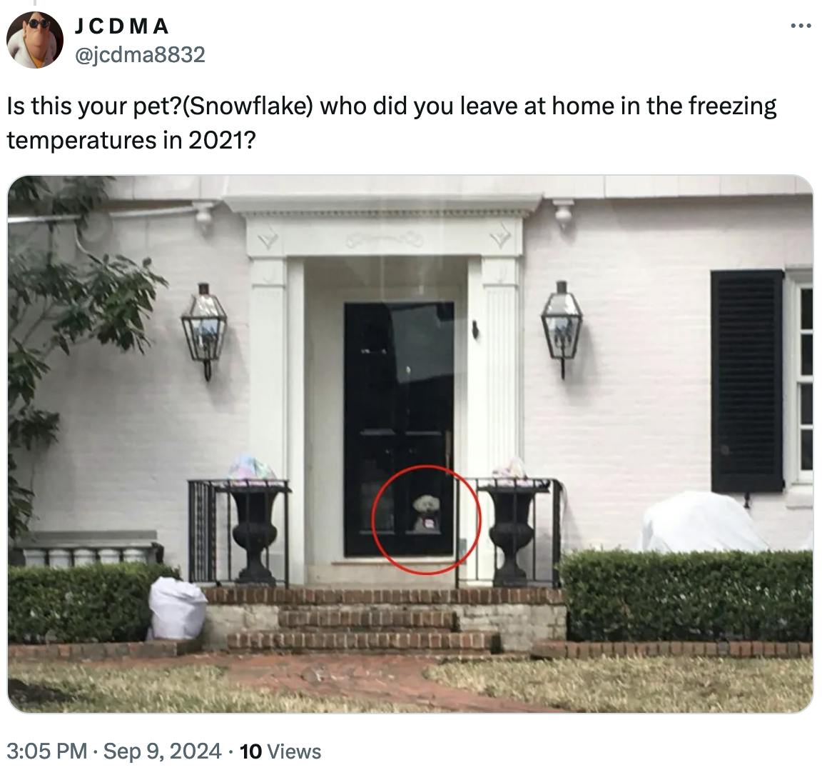 Twitter screenshot C D M A @jcdma8832: Is this your pet?(Snowflake) who did you leave at home in the freezing temperatures in 2021? (photo of a dog seen from the front door of a house)