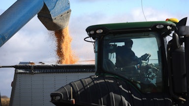A machine funnels corn kernels into another machine.