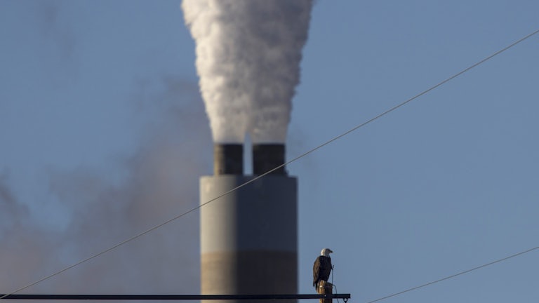 A bald eagle sits on a pole in front of a smokestack.