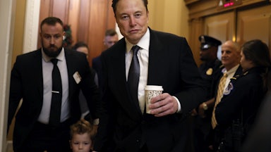 Elon Musk on Capitol Hill