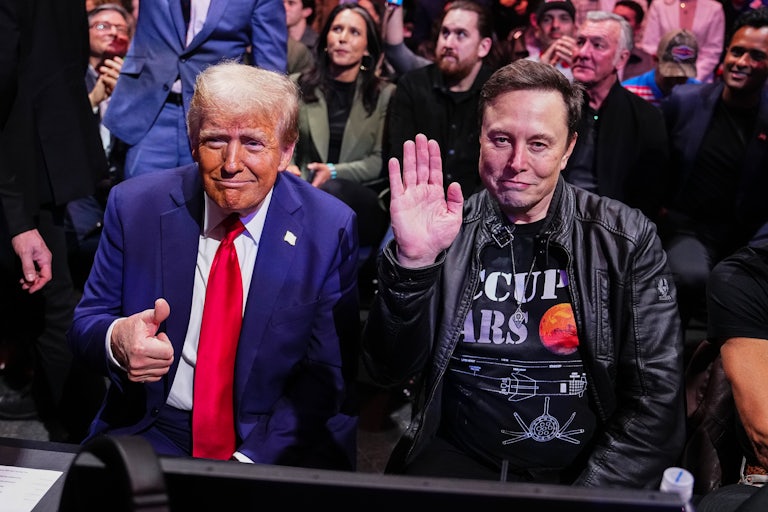 Trump and Musk at UFC