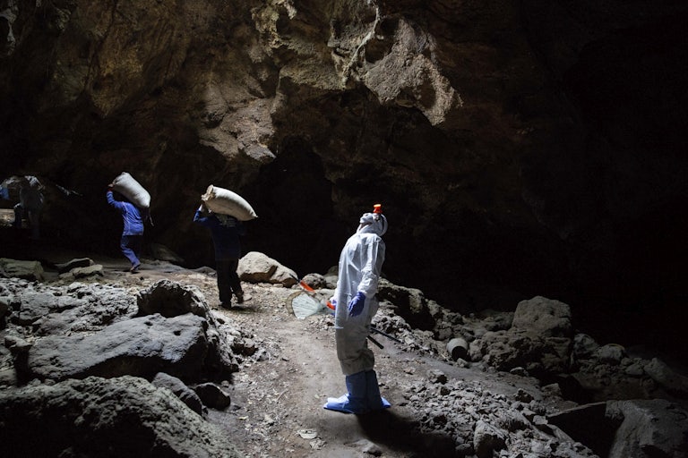 A researcher in protective gear looks up in a cave.