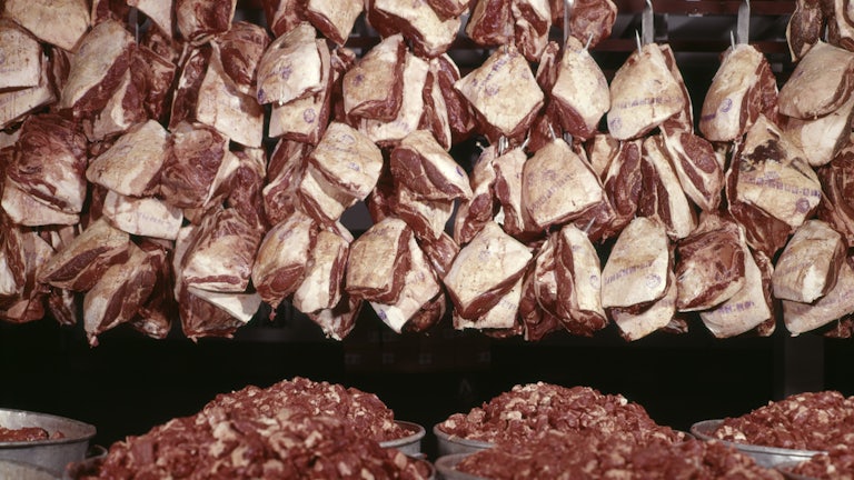 Cuts of raw beef hang from the ceiling with tins of chopped beef below.