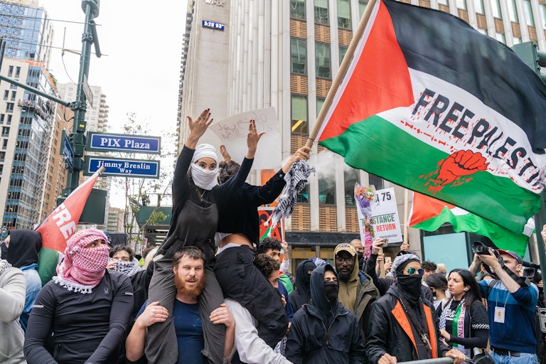 Pro-Palestinian supporters, including members of the Democratic Socialists of America