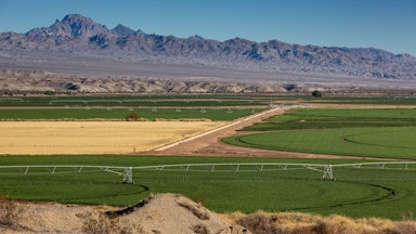 Large irrigation systems water alfalfa fields.