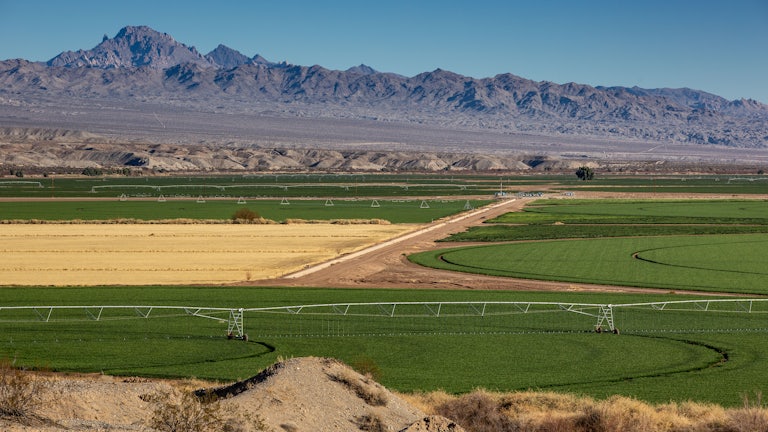 China's Pig High-Rises Are Horrifying. Are America's Factory Farms. 2 Big watering systems water alfalfa fields.