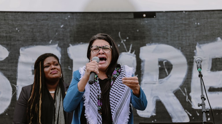 Rep. Rashida Tlaib