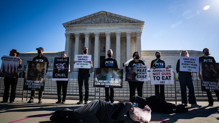 Demonstrators hold signs in front of the Supreme Court. One wearing a pig mask lies on the ground.