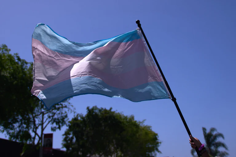 Trans flag