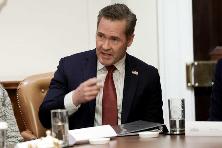 National Security Adviser Mike Waltz gestures while speaking in a meeting at the White House