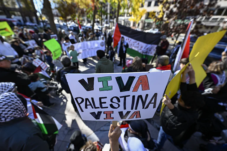 A protester holds a sign that reads "Viva Palestina Viva" in Franklin Park.