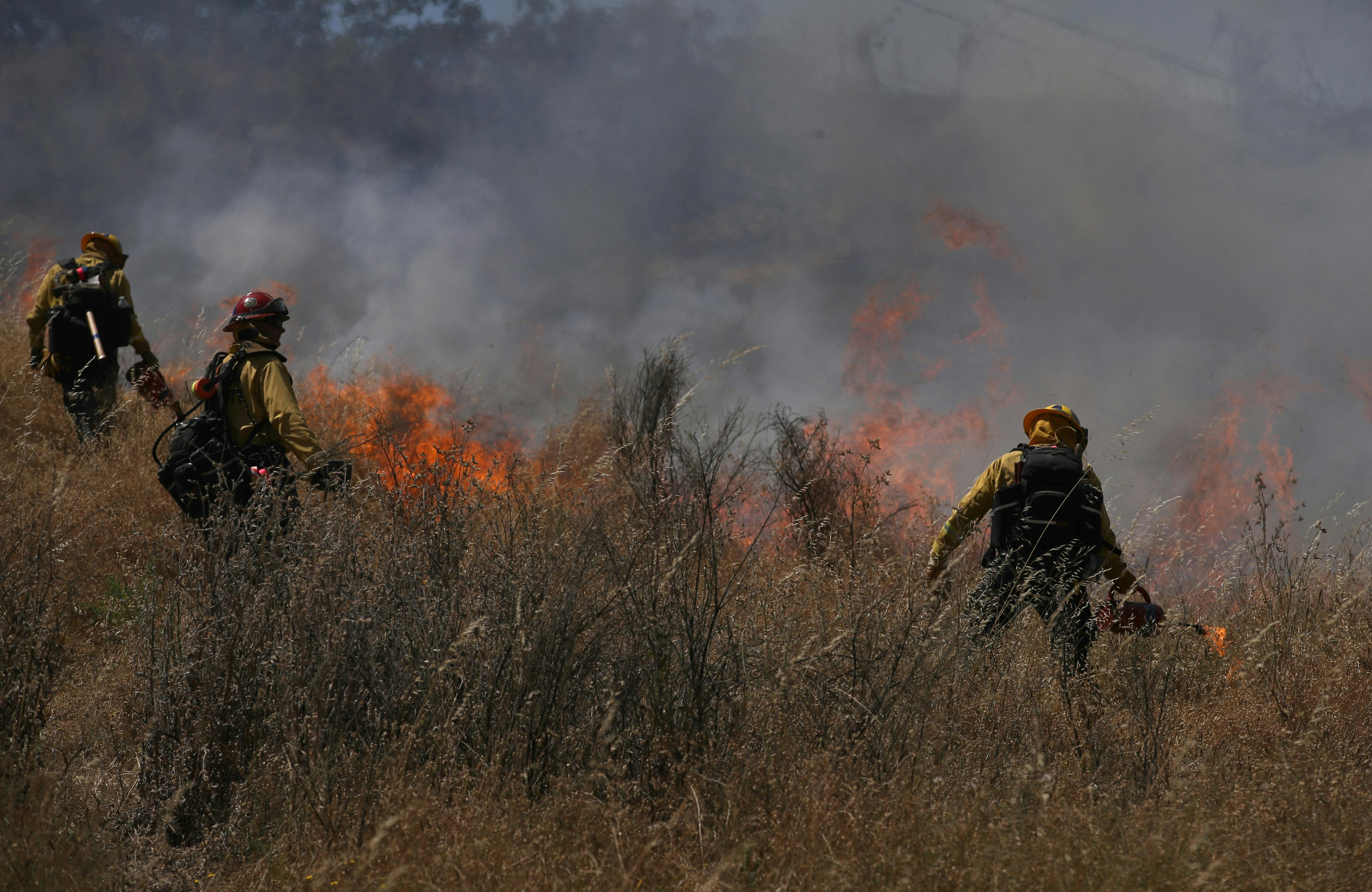 Three firefighters torch grasses in a field.