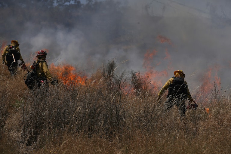 Three firefighters torch grasses in a field.