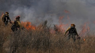 Three firefighters torch grasses in a field.