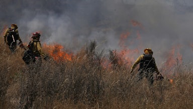 Three firefighters torch grasses in a field.
