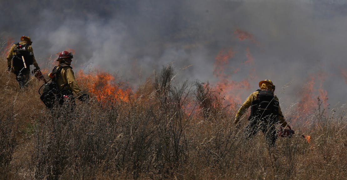 Indigenous Land Management Is the Best Answer to the Wildfire Crisis Indigenous Land Management Is the Best Answer to the Wildfire Crisis