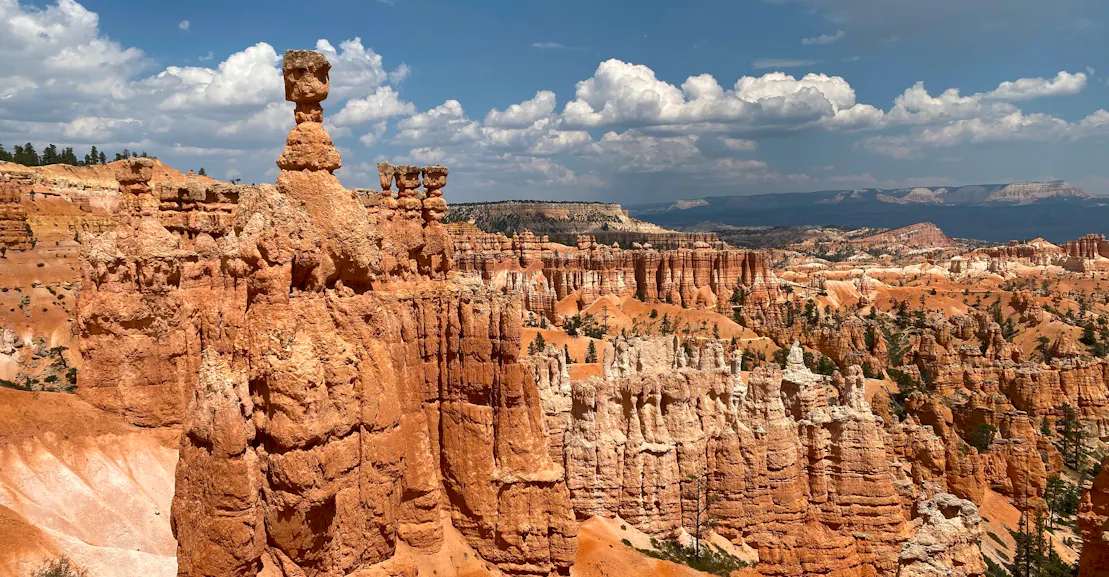 The Herculean Task of Remaking the Bureau of Land Management The Herculean Task of Remaking the Bureau of Land Management