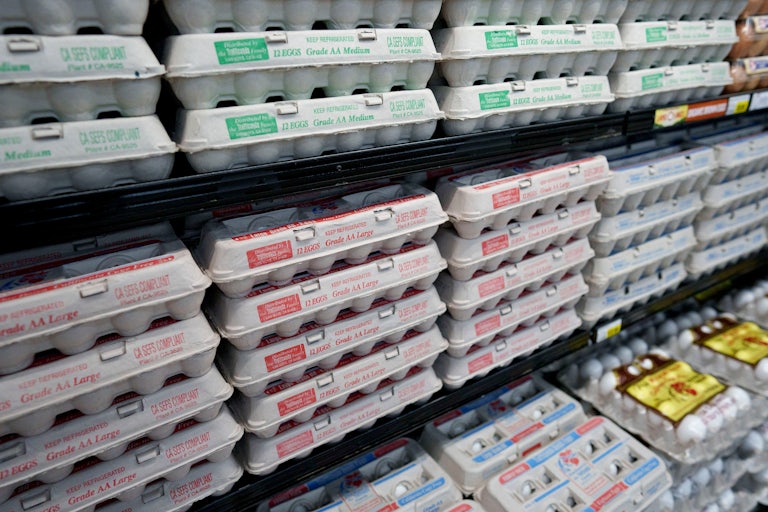 Boxes of a dozen eggs sit on shelves in a grocery store