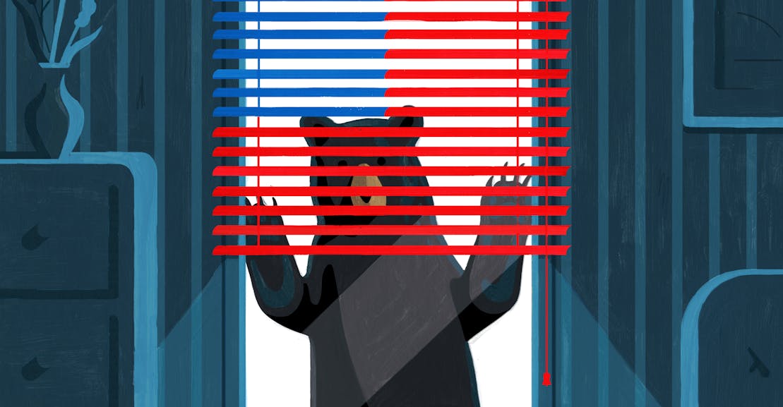 Libertarian vs. Bear Libertarian vs. Bear