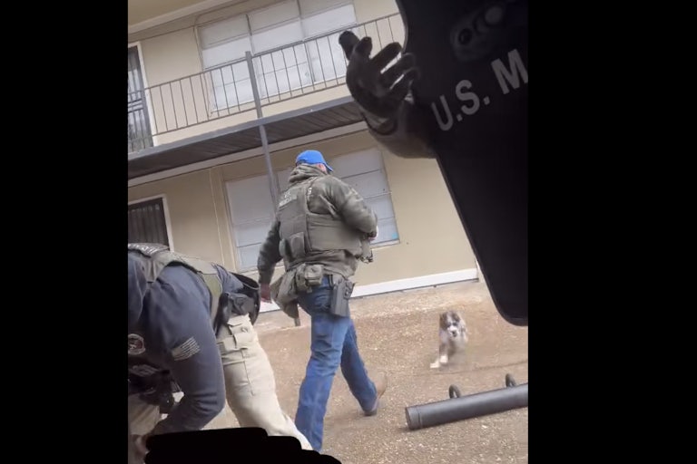 A screenshot of a U.S. Marshal approaching the dog before kicking it.