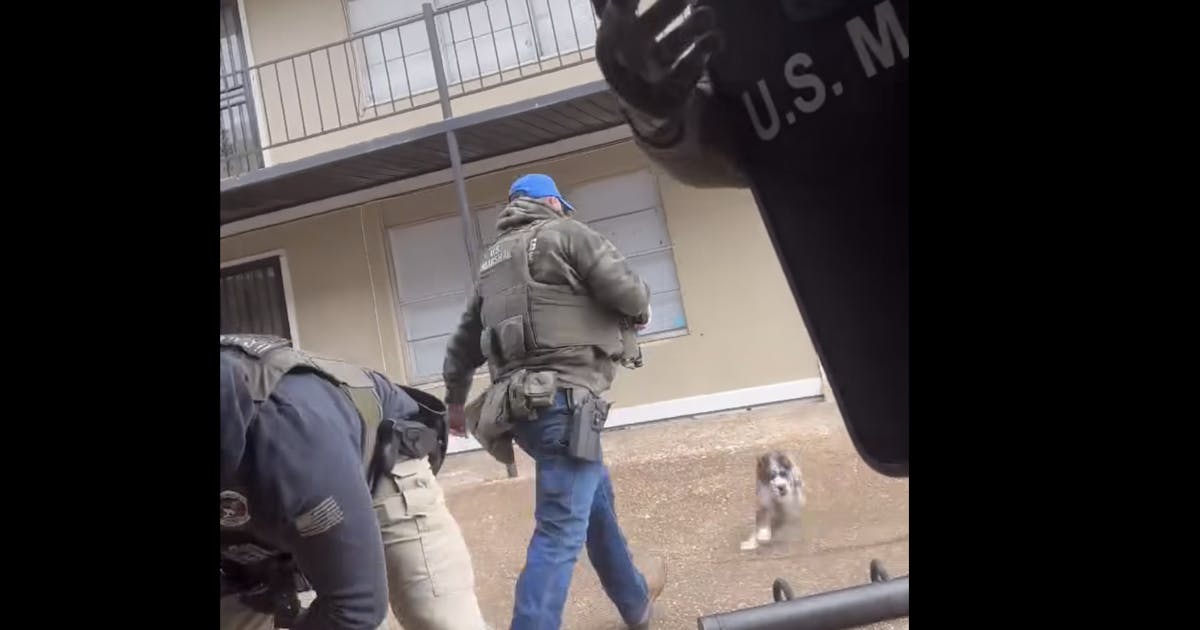 U.S. Marshals Defend Viral Video of Agent Kicking a Dog