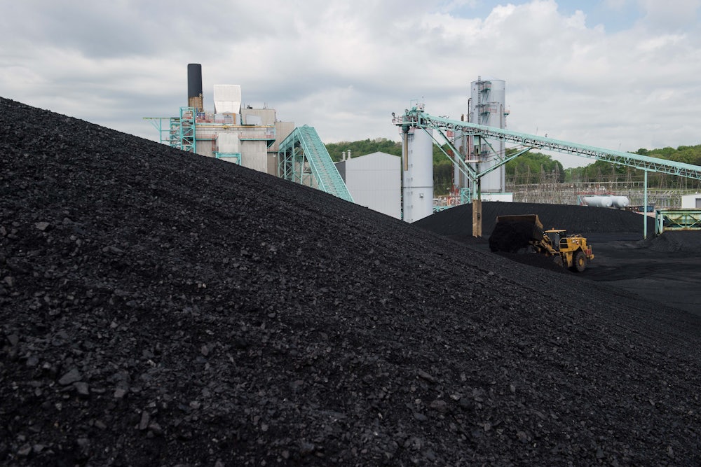 A front-end loader dumps more coal on a giant hill of coal.