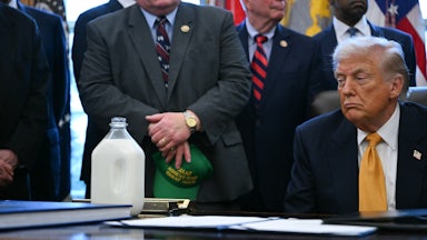 Donald Trump stares at a jug of milk on his desk in the Oval Office of the White House.