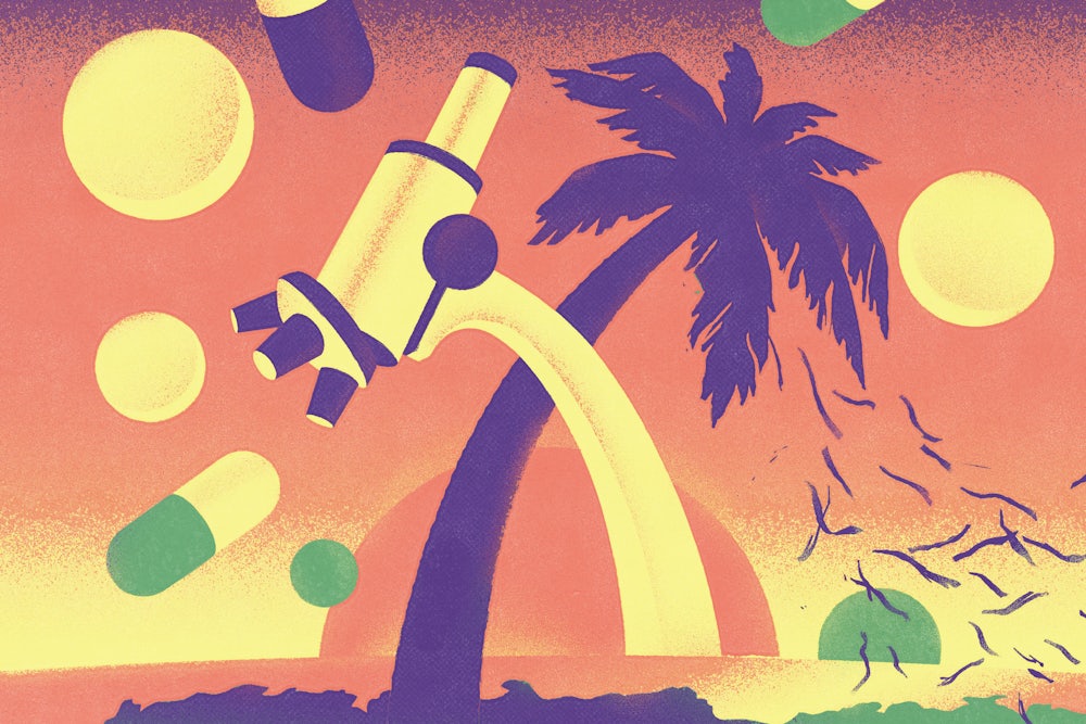 An illustration of a palm tree and a microscope intersecting with medicine flying around