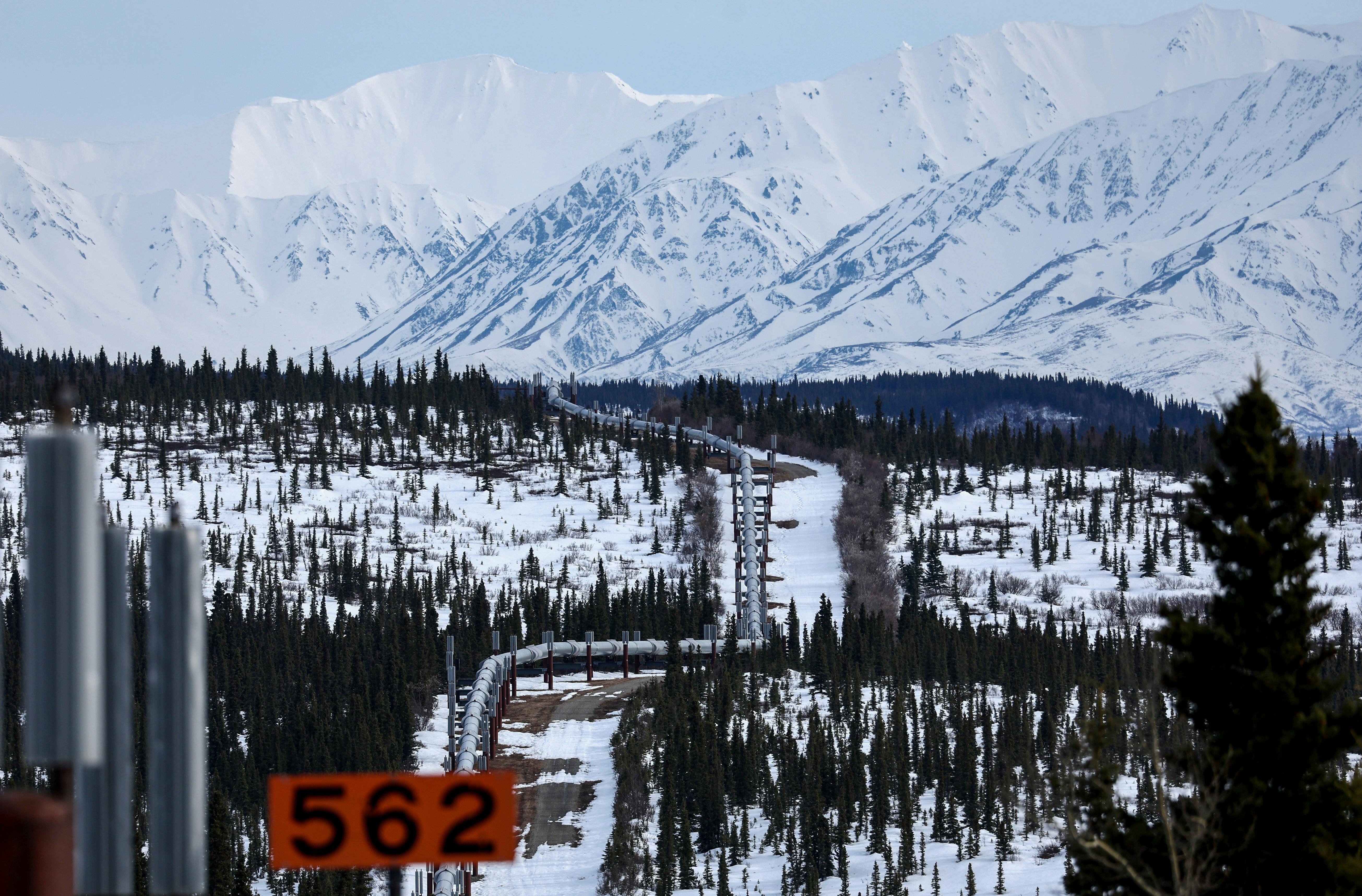 A pipeline is seen running through a snowy forest, with snow-covered mountains in the background. 