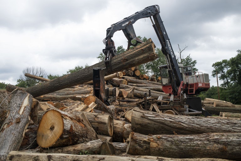 A log loader picks up a log amid a large pile of logs.