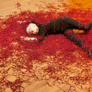 ARTWORK BY LUZENE HILL, RETRACING THE TRACE (2015)