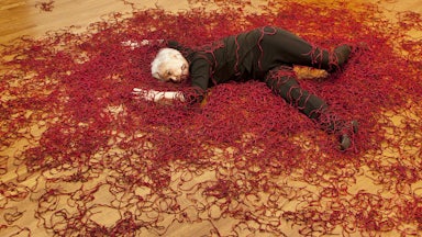 ARTWORK BY LUZENE HILL, RETRACING THE TRACE (2015)