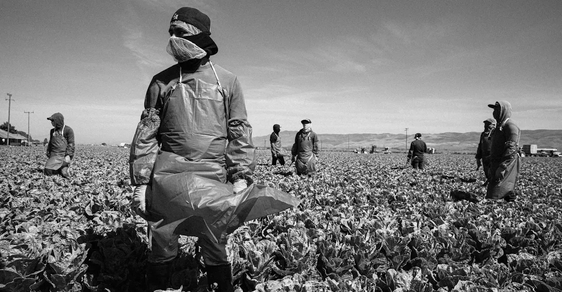 The Lethal Inequality on American Farms The Lethal Inequality on American Farms
