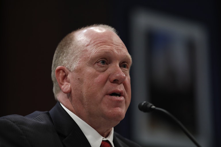 Tom Homan testifies in Congress