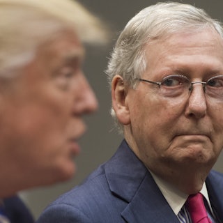 Mitch McConnell looks at Donald Trump in that goofy turtle like way he looks at people. 