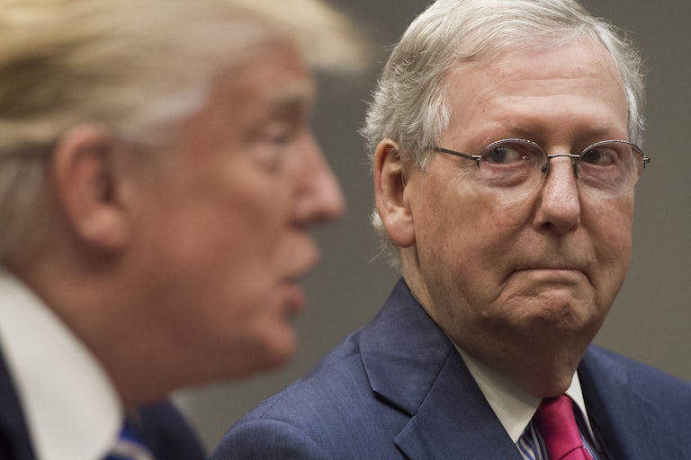Mitch McConnell looks at Donald Trump in that goofy turtle like way he looks at people.