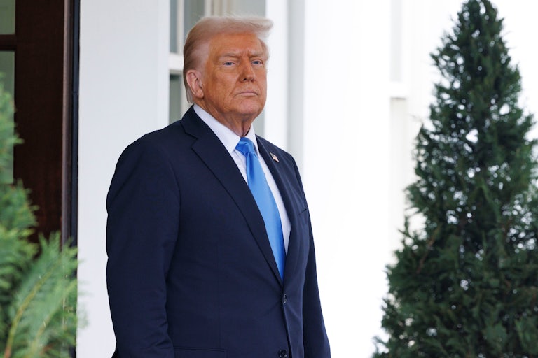 Donald Trump stands between two trees outside the White House