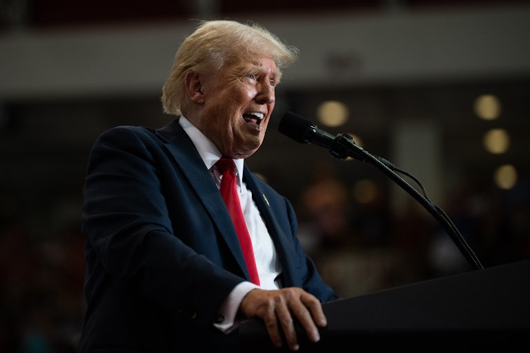 Donald Trump speaks into a microphone during a rally