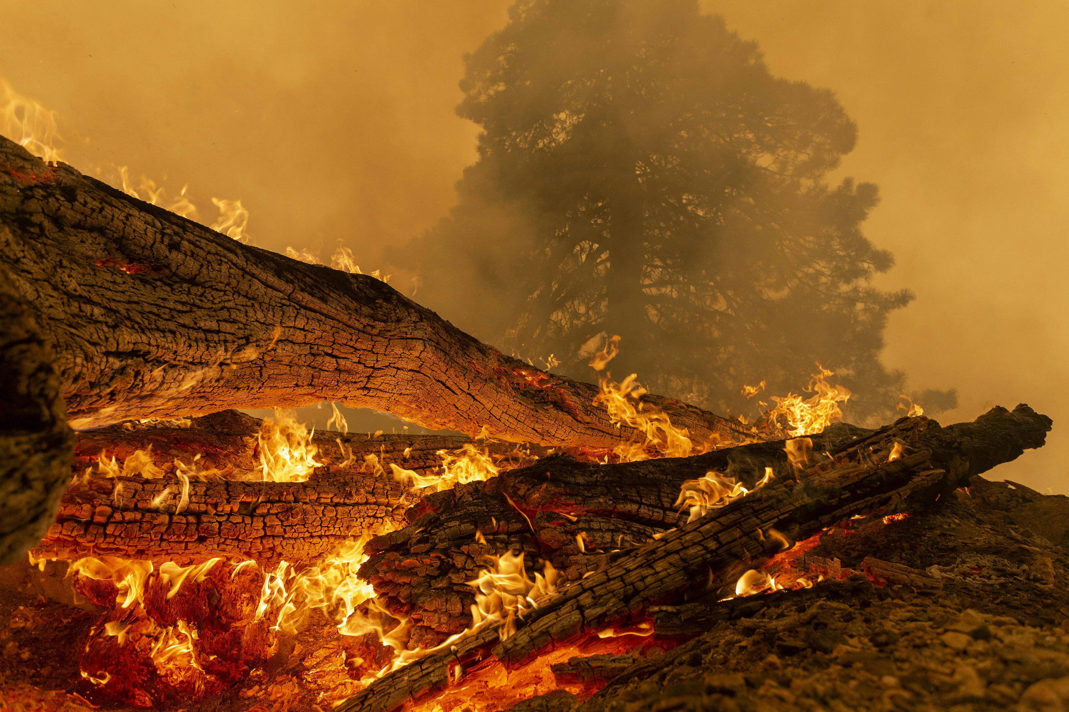 How to Help Fire-Ravaged California (and Oregon and Washington