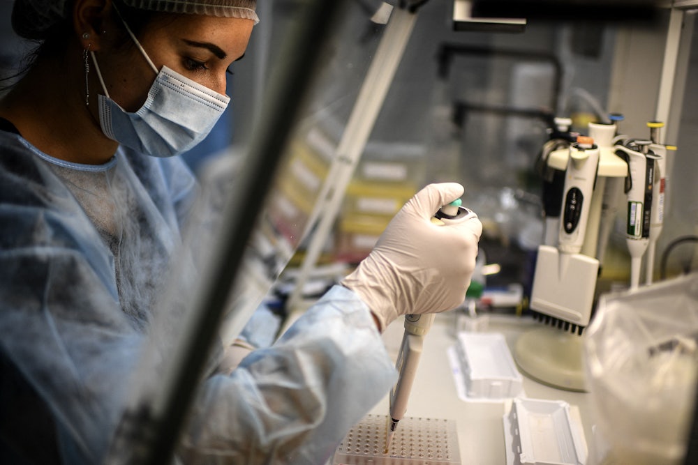 A lab technician uses a pipette to transfer material.
