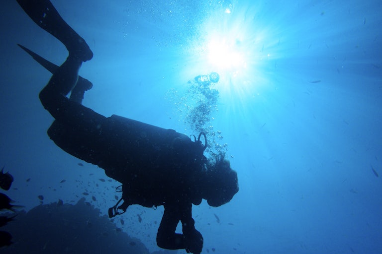 A diver swims off Koh Tao island in the Gulf of Thailand.