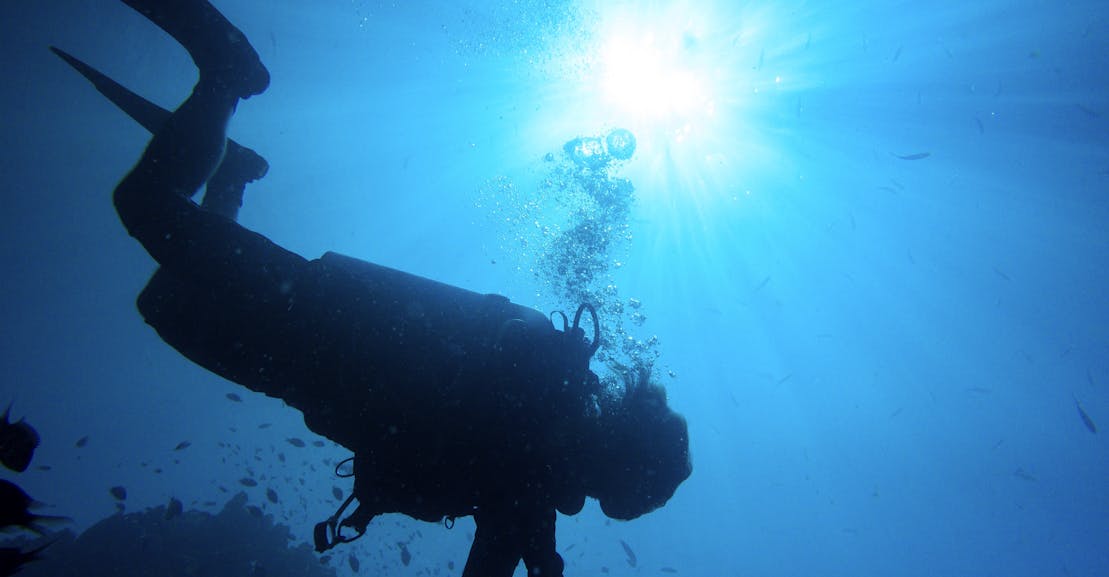 In her 1951 book The Sea Around Us, Rachel Carson wrote that when she imagined the seafloor, “the single, overwhelming fact” that captured her ima