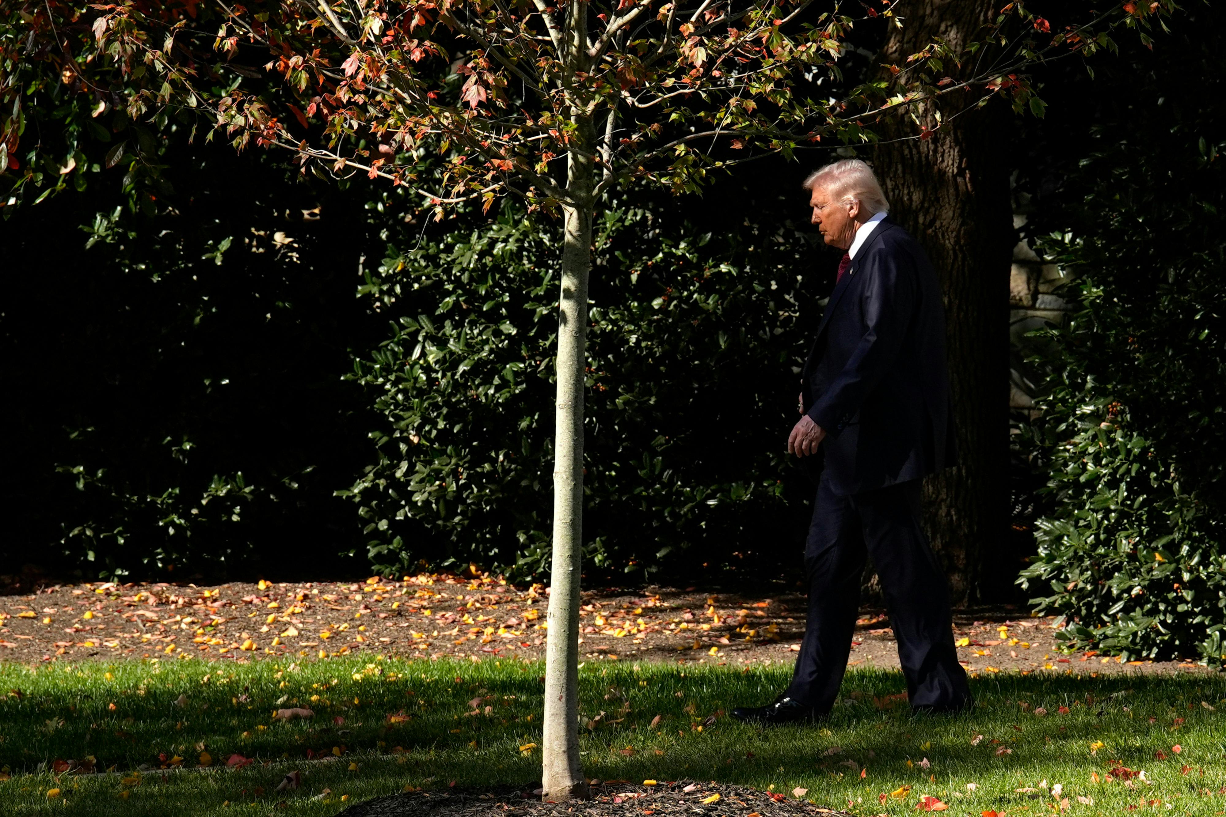 Donald Trump walks outside the White House